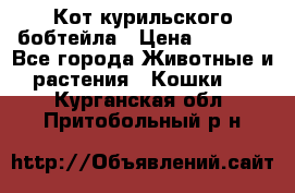Кот курильского бобтейла › Цена ­ 5 000 - Все города Животные и растения » Кошки   . Курганская обл.,Притобольный р-н
